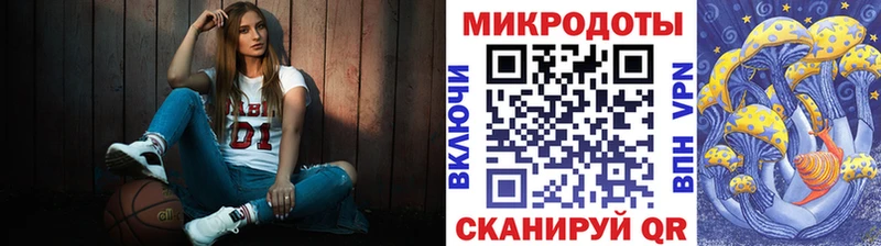 что такое наркотик  Кинель  Галлюциногенные грибы Psilocybine cubensis 